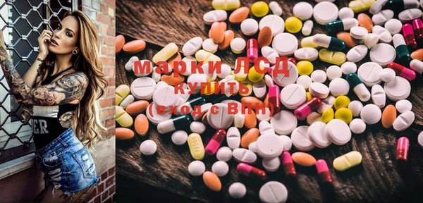 spice Медвежьегорск