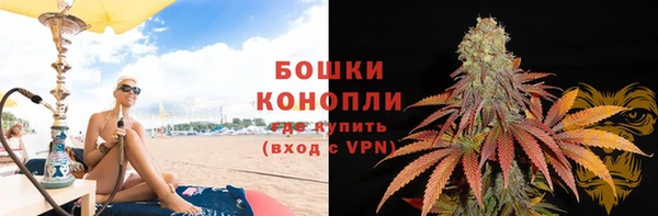 молекула духа Медногорск