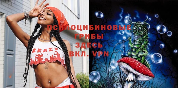 молекула духа Медногорск