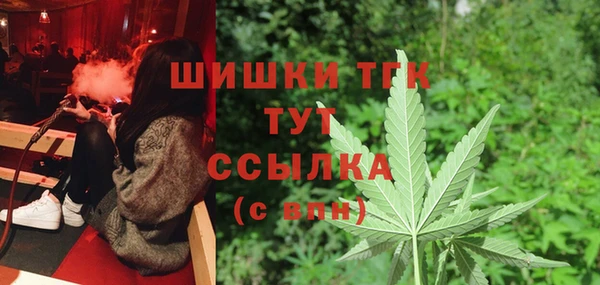 spice Медвежьегорск