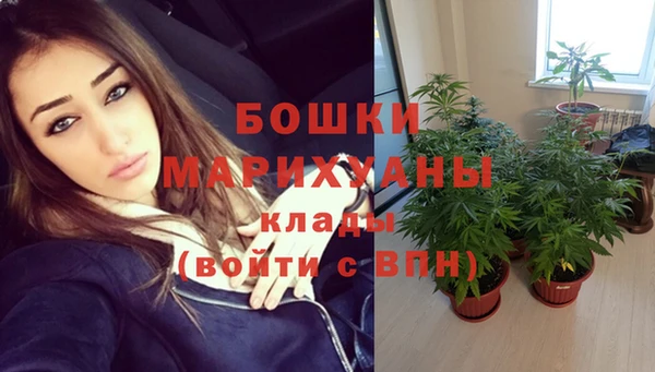 spice Медвежьегорск