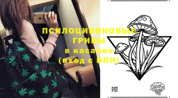 гидра Аксай
