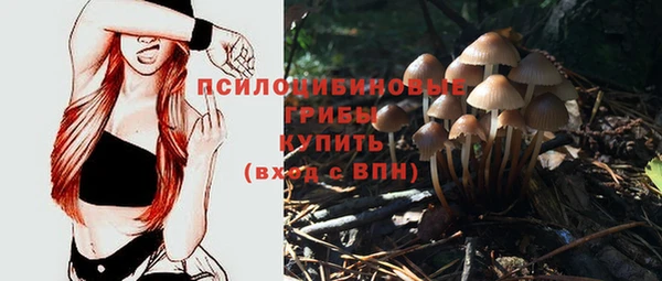 молекула духа Медногорск