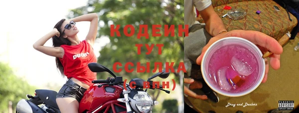 молекула духа Медногорск