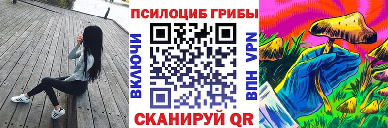 даркнет сайт  Кисловодск  Псилоцибиновые грибы MAGIC MUSHROOMS 