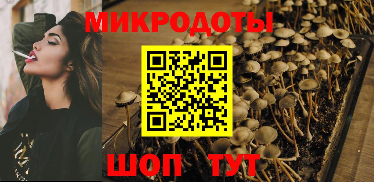 Псилоцибиновые грибы Magic Shrooms  Вход с VPN  наркотики  Кисловодск 