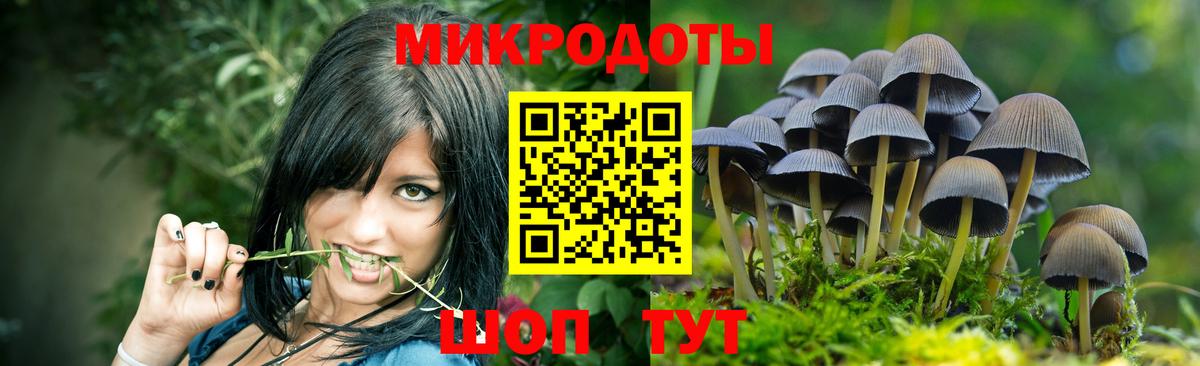 Псилоцибиновые грибы MAGIC MUSHROOMS Кисловодск