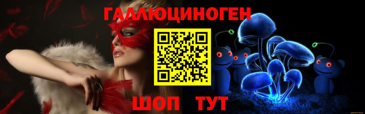 Псилоцибиновые грибы прущие грибы  Кисловодск 